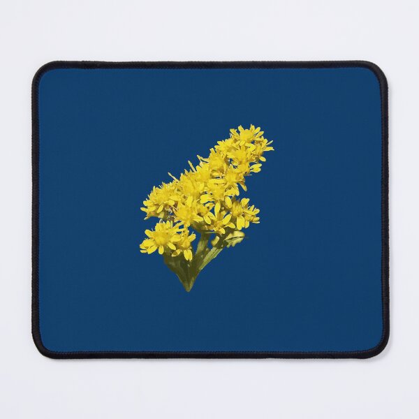 Item preview, Solidago Gigantea Wildflower Botanical Vector Illustration  designed and sold by taiche.