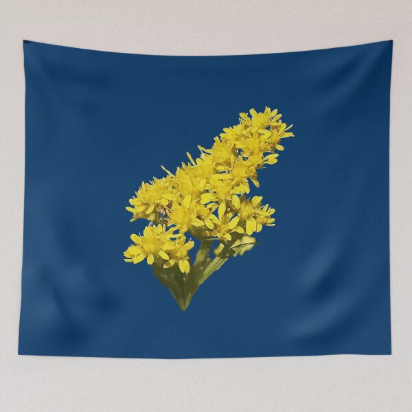Item preview, Solidago Gigantea Wildflower Botanical Vector Illustration  designed and sold by taiche.