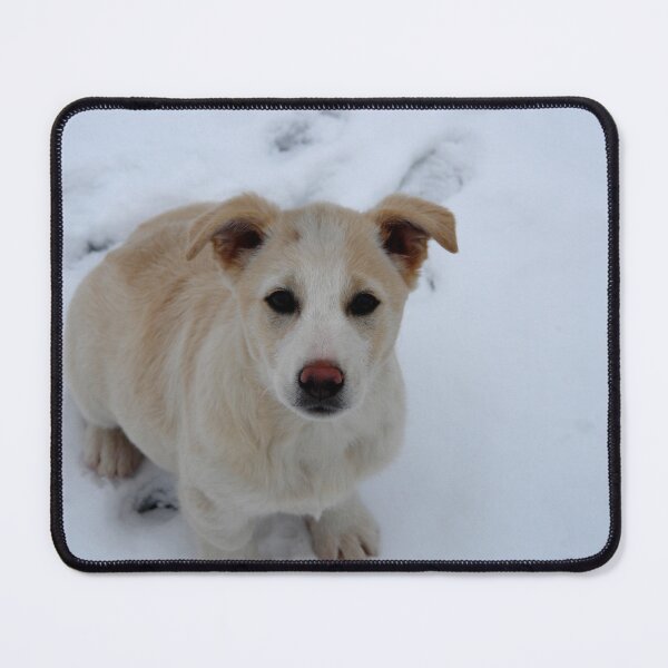 Item preview, Dog designed and sold by DjeriK.