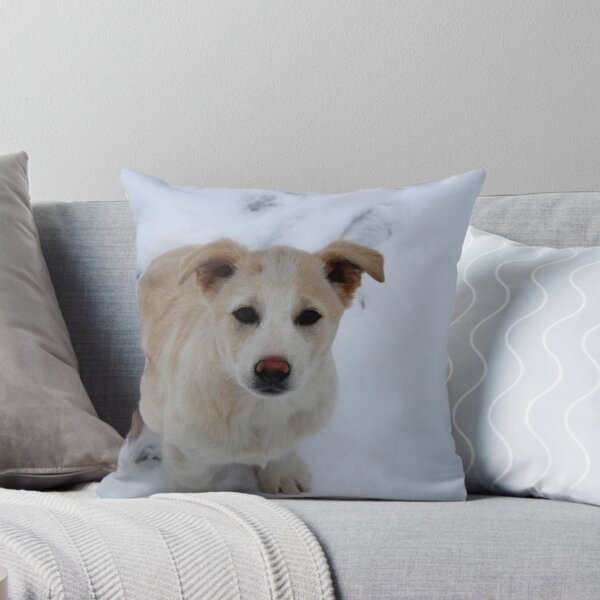 Item preview, Dog designed and sold by DjeriK.