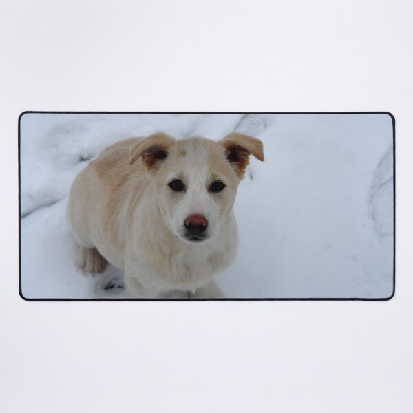 Item preview, Dog designed and sold by DjeriK.