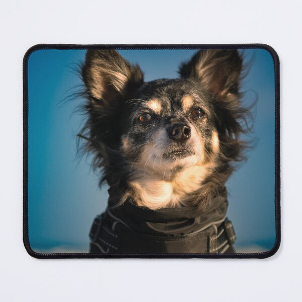 Item preview, Chihuahua mix designed and sold by DruckMoped.