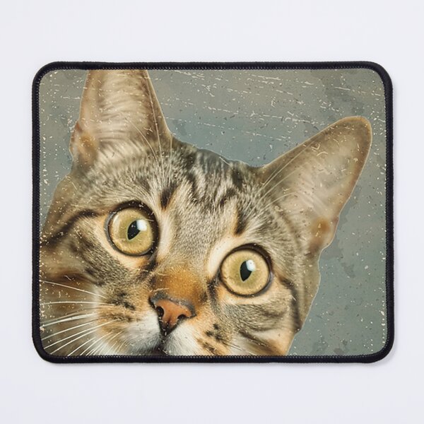 Item preview, Are You Pooping Cat designed and sold by arthurforney.