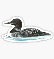 Common Loon Sticker