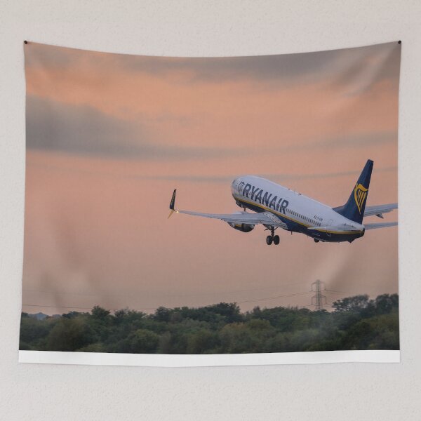 Item preview, Ryanair Boeing 737 EI-ENR MAN to CRL designed and sold by Skyframe Aviation.