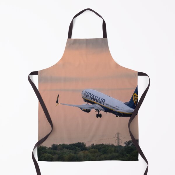 Item preview, Ryanair Boeing 737 EI-ENR MAN to CRL designed and sold by Skyframe Aviation.