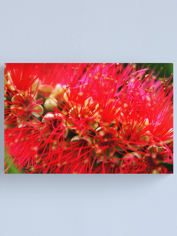 Alternate view of Explosion of Red Canvas Print