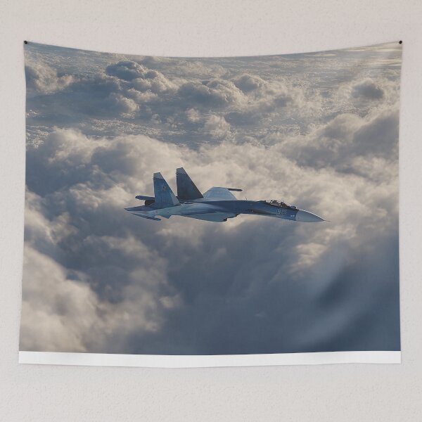 Item preview, Sukhoi Su-27 Skimming the Sky designed and sold by Skyframe Aviation.