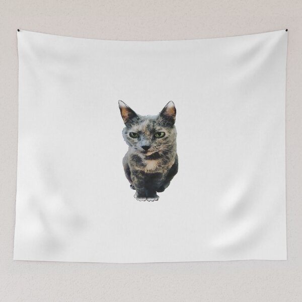 Item preview, kitten designed and sold by Kalhanne.