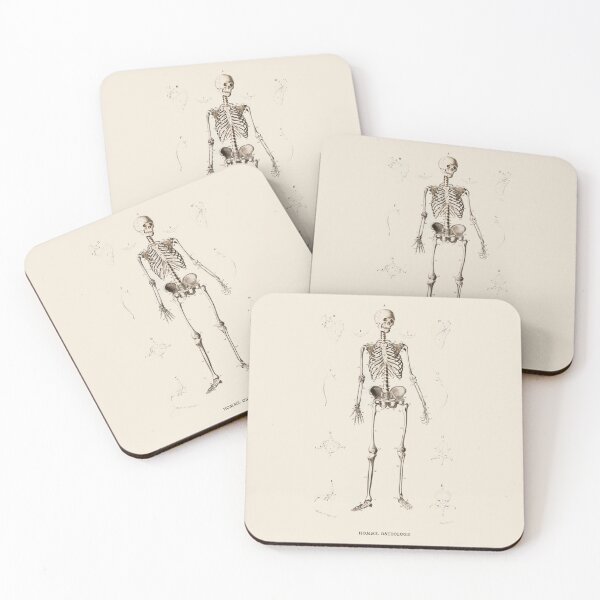 Item preview, Human Skeleton (1860s) by Charles Dessalines D'Orbigny designed and sold by Antiquated Art.
