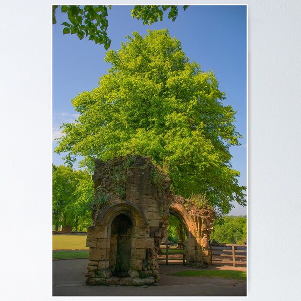 Item preview, Knaresborough Castle designed and sold by Graz-Photos.