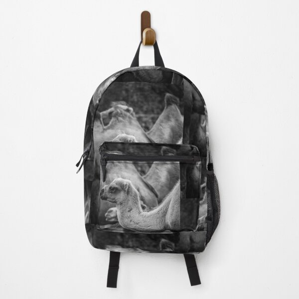 Item preview, Casual Camel designed and sold by brynmelys.
