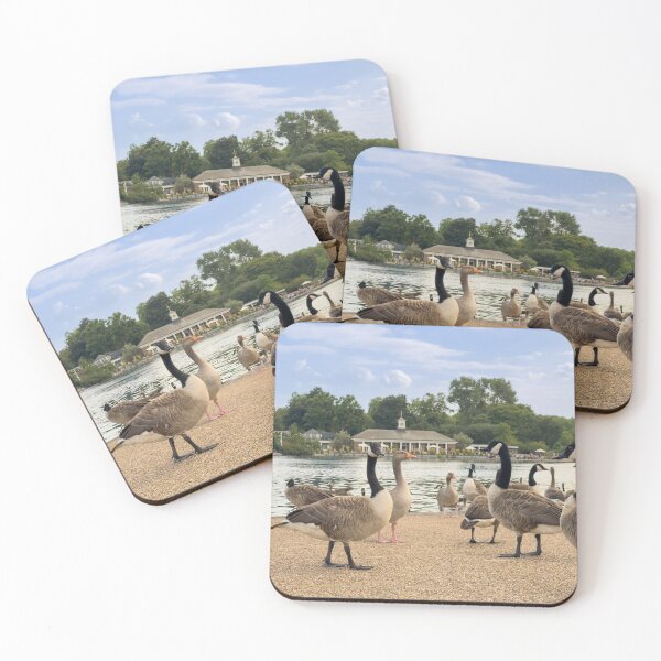 Item preview, Geese gathering beside the Serpentine Café, London. designed and sold by bailey-cooper.