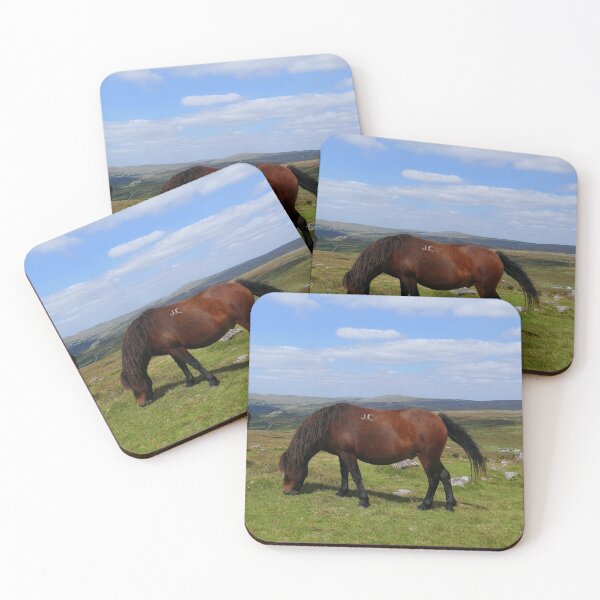 Item preview, Dartmoor Ponies designed and sold by Chris Petty.