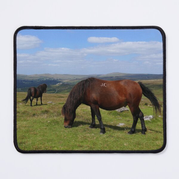 Item preview, Dartmoor Ponies designed and sold by Chris Petty.
