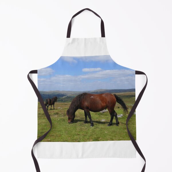 Item preview, Dartmoor Ponies designed and sold by Chris Petty.