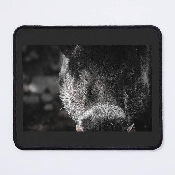 Item preview, Eye of a Hog designed and sold by brynmelys.