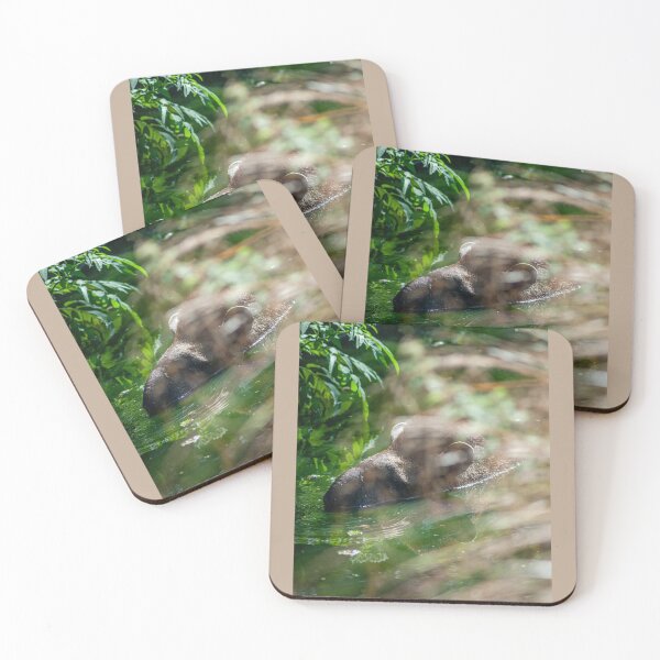 Item preview, Tapir Stream designed and sold by brynmelys.