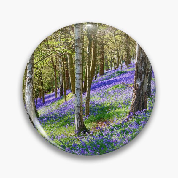 Item preview, Bluebell Wood in Kent England UK designed and sold by John Gilham - Landscape Photography.