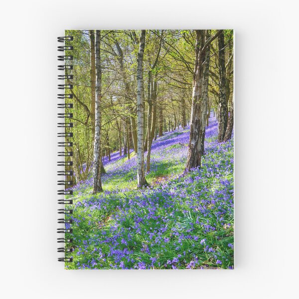 Item preview, Bluebell Wood in Kent England UK designed and sold by John Gilham - Landscape Photography.