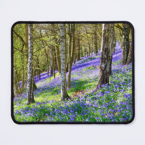 Item preview, Bluebell Wood in Kent England UK designed and sold by John Gilham - Landscape Photography.