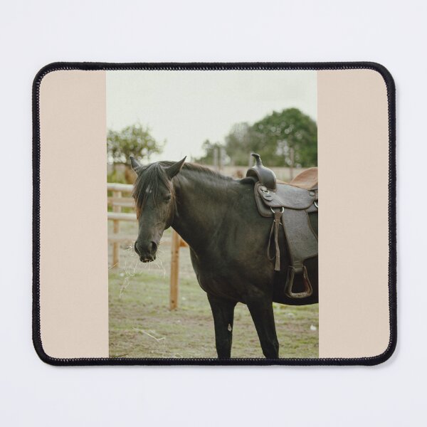 Item preview, Trail mornings designed and sold by brynmelys.