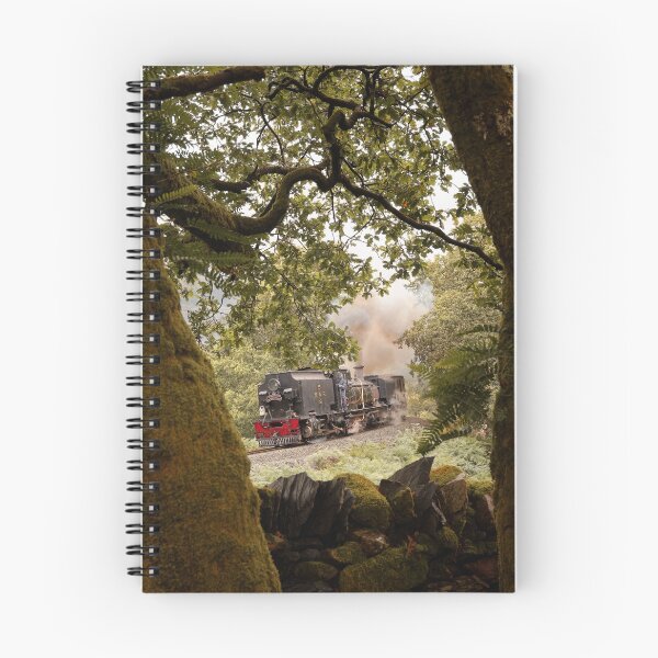 Item preview, Steam Locomotive in Beddgelert Forest on the Welsh Highland Railway designed and sold by duncan1980uk.
