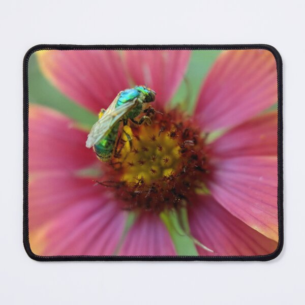 Item preview, Vibrant Bee on Firewheel designed and sold by ThoseFlowerPics.