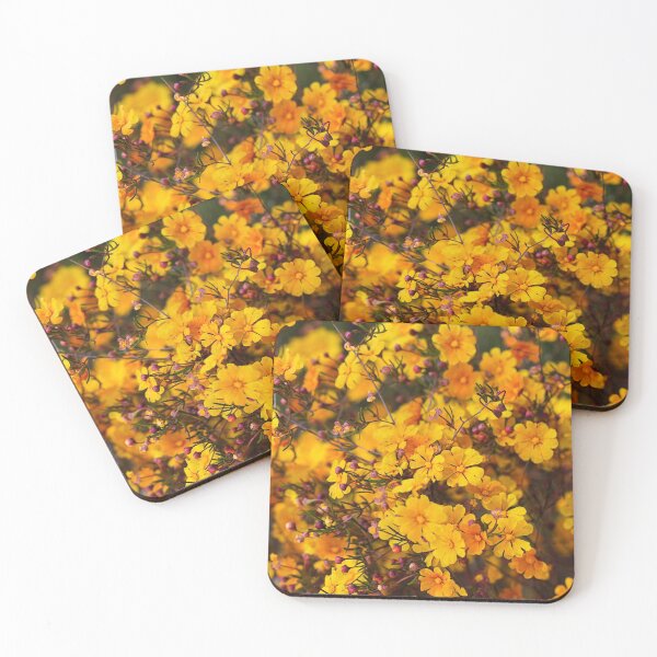 Item preview, Western Australian Wildflower - Orange Stars designed and sold by Life Images by Jill .
