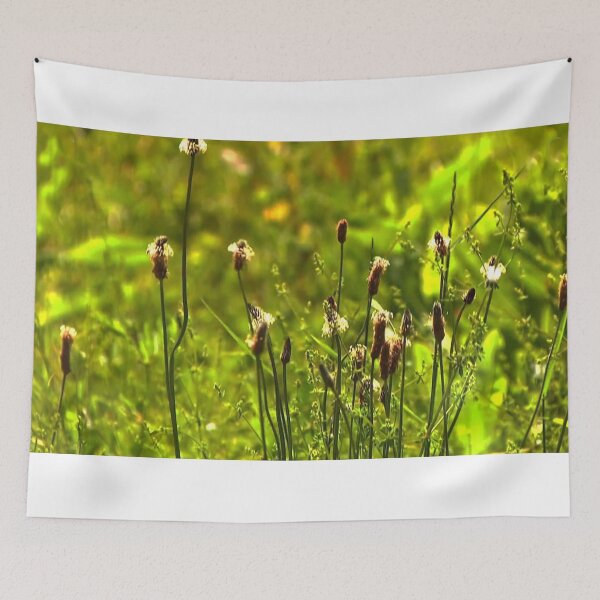 Item preview, Aldea designed and sold by DjeriK.