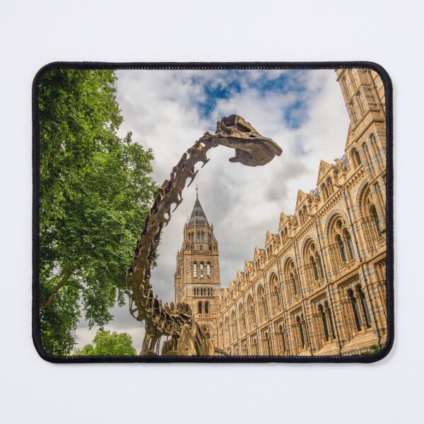 Item preview, Diplodocus dinosaur sculpture outside the Natural History Museum designed and sold by bailey-cooper.