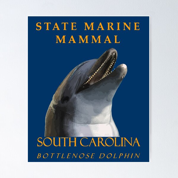 Item preview, South Carolina Territory Marine Mammal The Bottlenose Dolphin designed and sold by taiche.