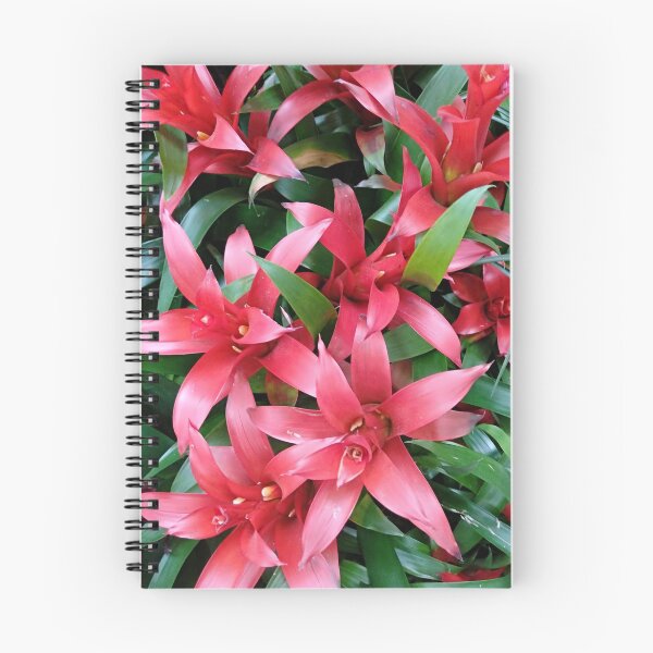 Item preview, Red guzmania tropical flower designed and sold by designer437.