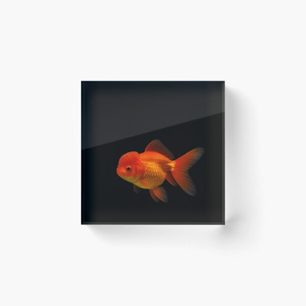Item preview, Goldfish. designed and sold by moths-minor.