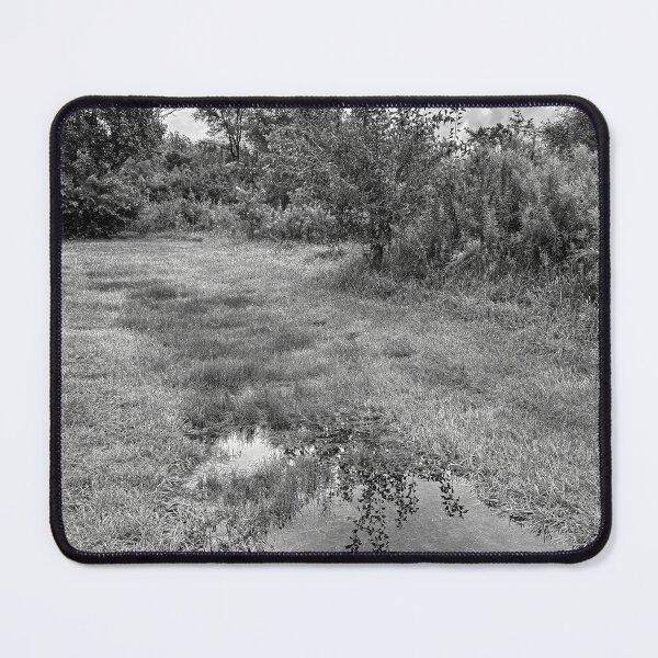Item preview, Lewis and Clark Rest Area IA Study 3 designed and sold by Robert Meyers-Lussier.