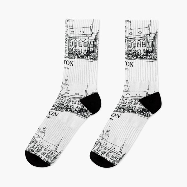 Item preview, Newton - Massachusetts designed and sold by Lakeric Cityscapes.