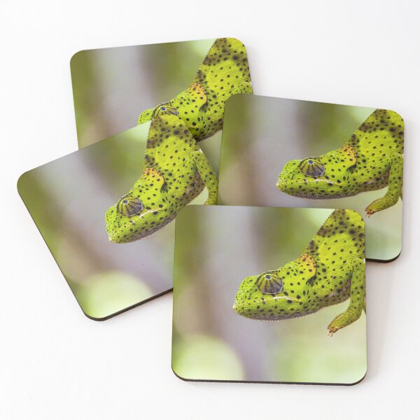 Item preview, Green chameleon close up wildlife photo Tanzania designed and sold by Amanda's Factory.