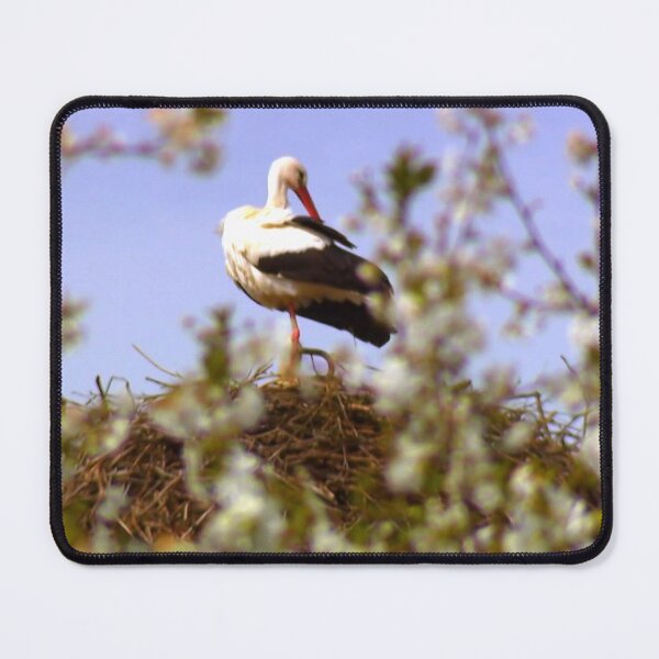 Item preview, Bird- stork designed and sold by DjeriK.