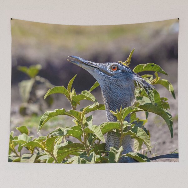 Item preview, Kori bustard close up wildlife photo Tanzania designed and sold by Amanda's Factory.