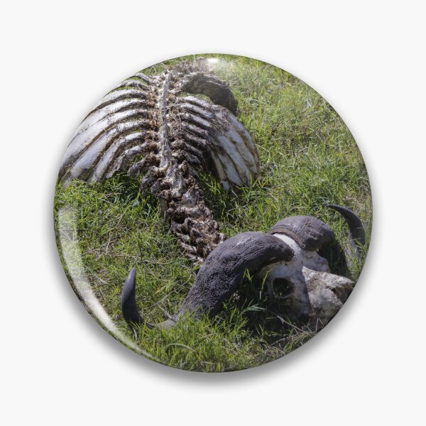 Item preview, Buffalo skeleton remains wildlife photo Ngorongoro Tanzania designed and sold by Amanda's Factory.