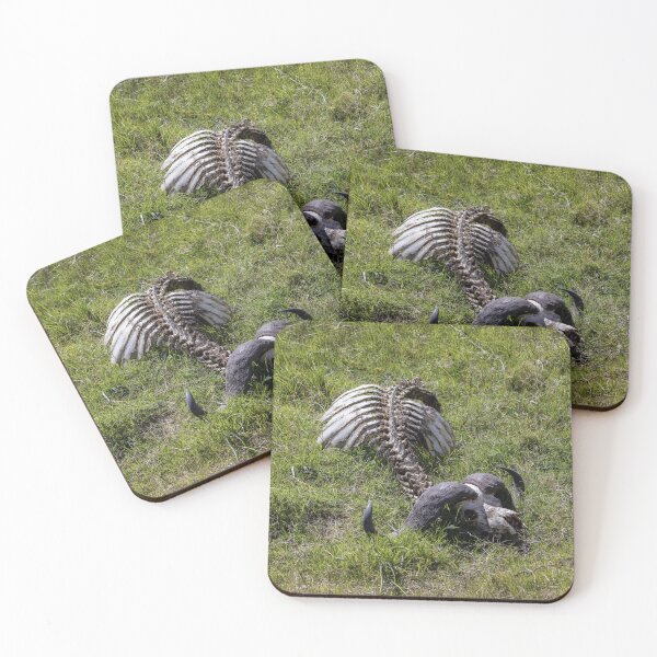Item preview, Buffalo skeleton remains wildlife photo Ngorongoro Tanzania designed and sold by Amanda's Factory.
