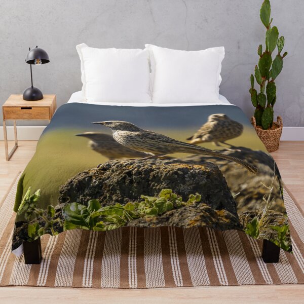Item preview, Wild starlings on rocks wildlife photo Tanzania designed and sold by Amanda's Factory.