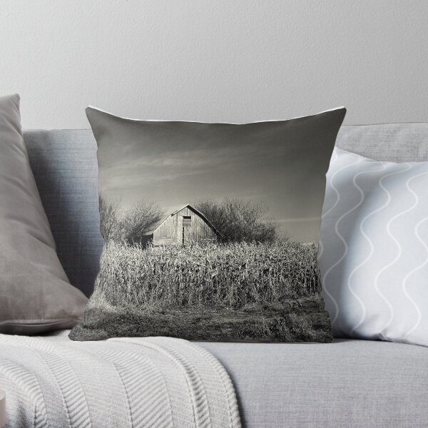 Throw Pillow