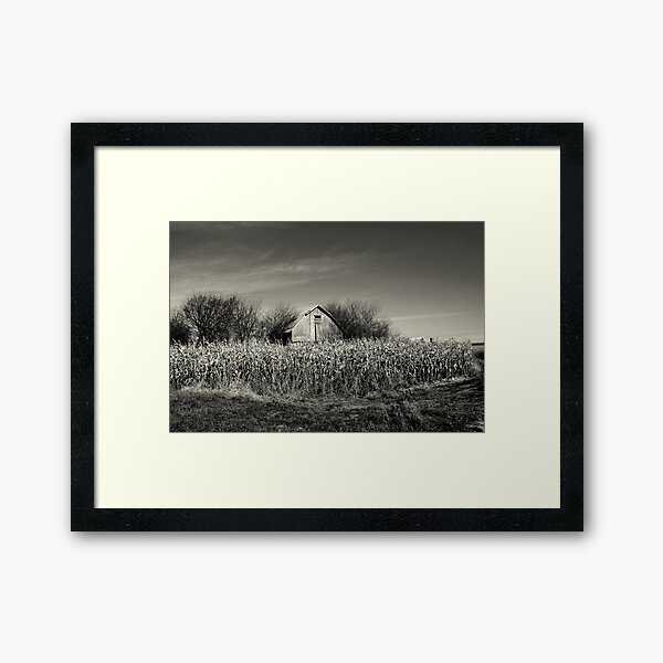 Framed Print