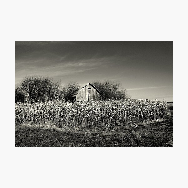 Photographic Print