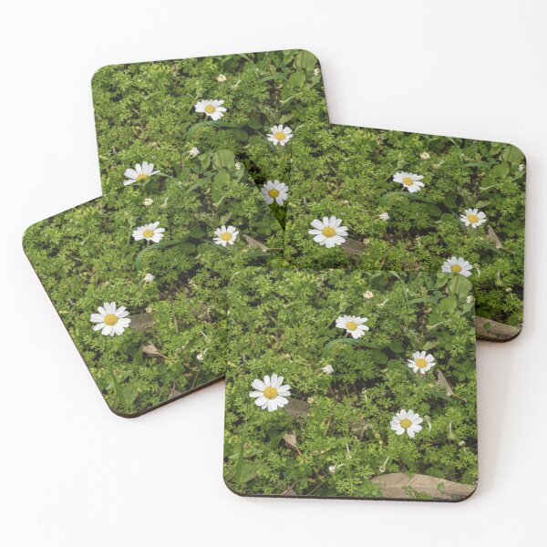 Item preview, Chia Chamomile designed and sold by Imbeccable Images.