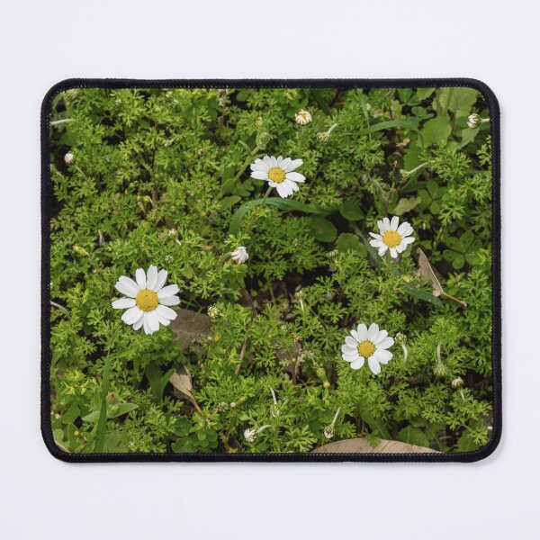 Item preview, Chia Chamomile designed and sold by Imbeccable Images.