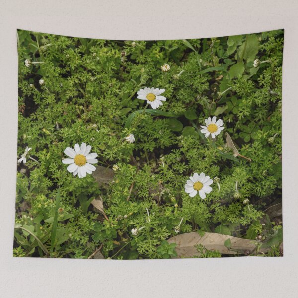 Item preview, Chia Chamomile designed and sold by Imbeccable Images.
