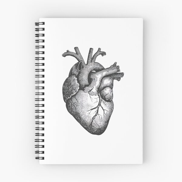 Item preview, Vintage Anatomy Heart  designed and sold by AImazeD.