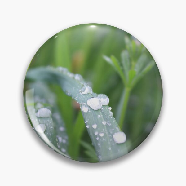 Item preview, After the rain designed and sold by ANAEZ.